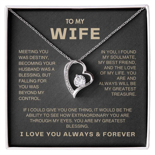 To My Wife | Forever Love Necklace | Meeting You Was Destiny